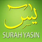 Surah Yasin Dan Terjemahan biểu tượng