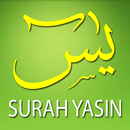 Surah Yasin Dan Terjemahan APK