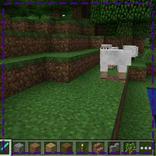 Dual Wielding Mod Installer