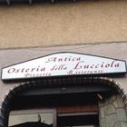 ANTICA OSTERIA DELLA LUCCIOLA icono