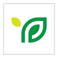 Parkland Seed Potato