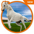 3D HD Live Horse Wallpaper APK