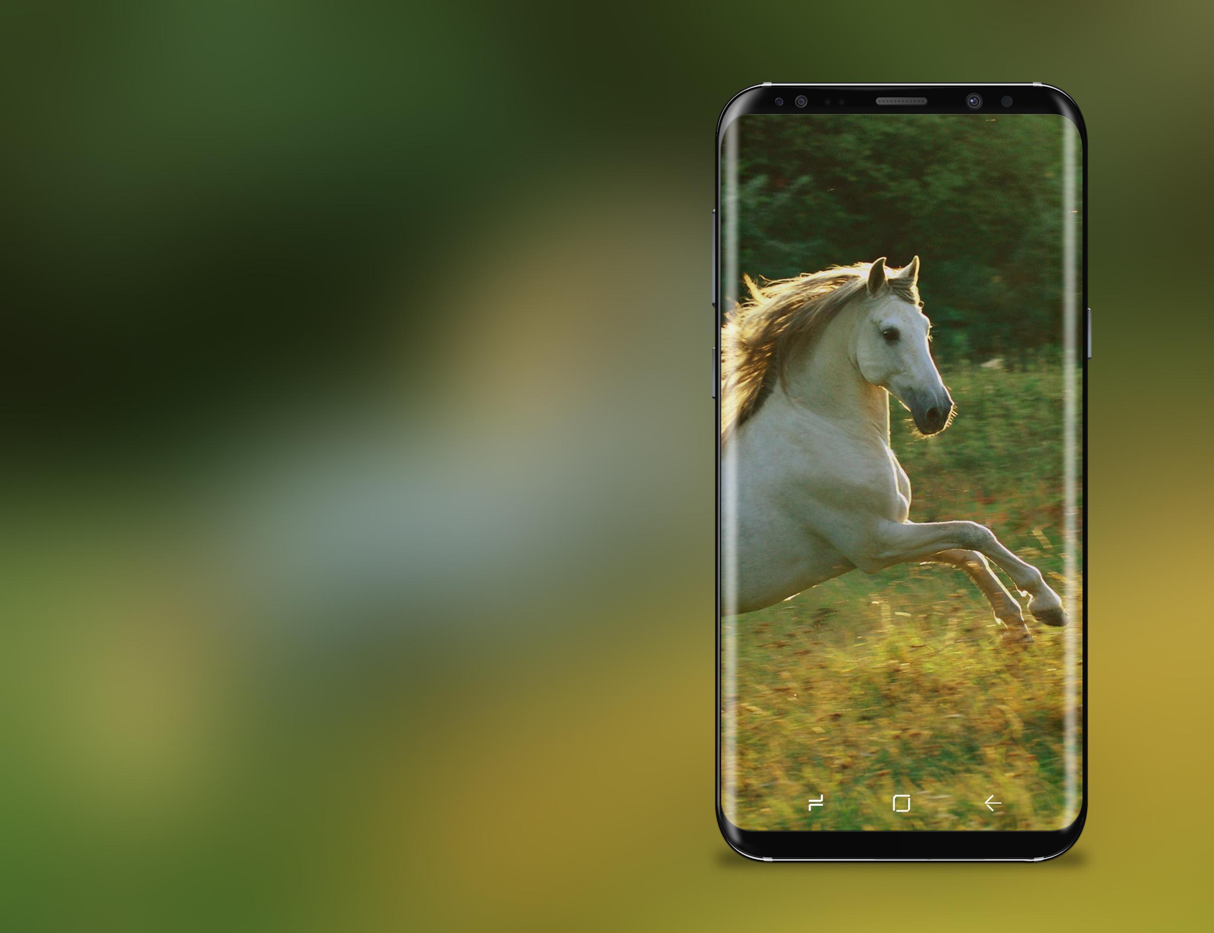 3D HD Live Horse Wallpaper APK for Android Download