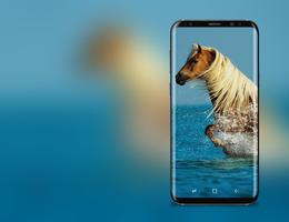 3D HD Live Horse Wallpaper ảnh chụp màn hình 2