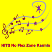 HITS No Flex Zone Karmin