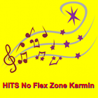 HITS No Flex Zone Karmin icône