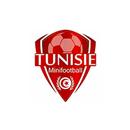 Tunisie Minifootball APK