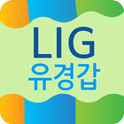 LIG손해보험 옥포지점 유경갑 icono