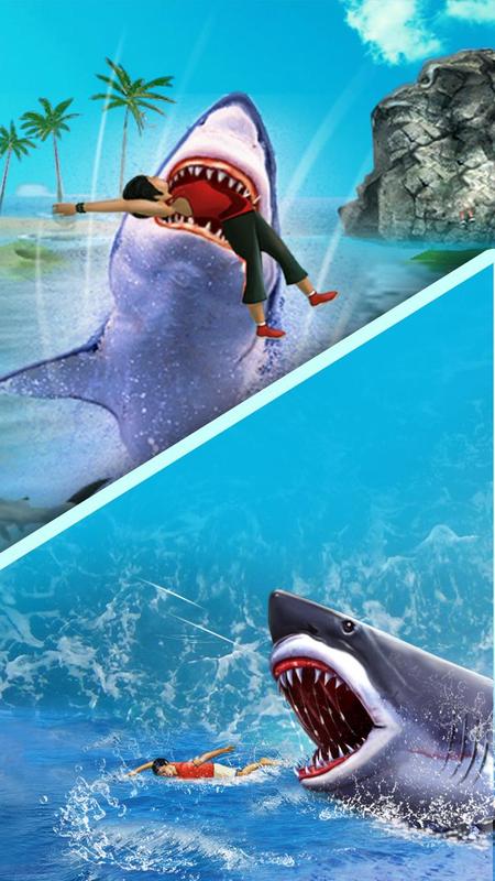 Shark Shark