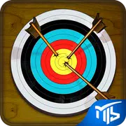 Archery Challenge