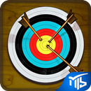 Archery Challenge APK