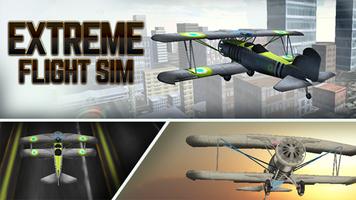 Extreme Flight Sim Poster