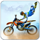 Stunt fou 3D APK