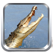 Wild Crocodile Simulator Free