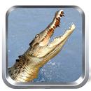 Sauvage Crocodile Simulator APK