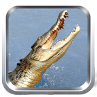 Sauvage Crocodile Simulator icône
