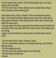 Kinh Tin Kính 截图 1