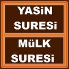 Yasin Suresi Mülk Suresi İndir иконка