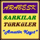 Arabesk Şarkılar Türküler APK