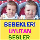 Kolik Bebek Uyutan Sesler アイコン