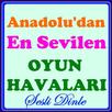 Oyun Havaları Dinle APK