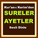 Sureler ve Ayetler Dinle İnter APK