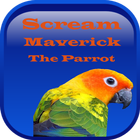 Scream Maverick The Parrot ไอคอน