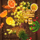 Fruit Ninja Hints আইকন