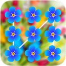 Spring Flowers Pattern Lock Screen APK