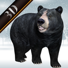 Bear Simulation Game 아이콘