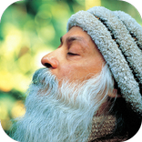 Мудрость веков