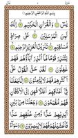 Surah Yaseen - Arabic Fonts سورۃ یٰس imagem de tela 3