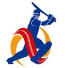 Cricket Tiesheet & Live Score icon