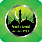 Fazail e Amaal in Hindi Vol-1 icône