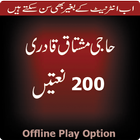 Muhammad Mushtaq Qadri Naatian 200 أيقونة