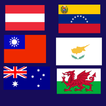 Guess the flags