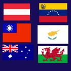 Guess the flags icône
