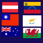 Guess the flags-icoon