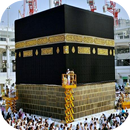 Hajj and Umrah in an easy way APK
