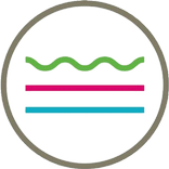 Mujahid State Conference