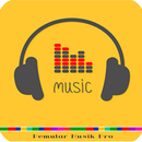 Pemutar Musik pro APK