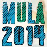 Fiestas Mula 2014 icon