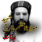 Maulana Azam Tariq アイコン