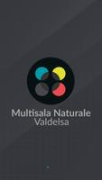 Multisala Naturale Valdelsa poster