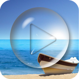 PIP Video Player