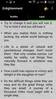 Enlightenment screenshot 2