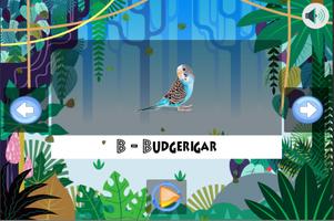 all about birds - app for toddlers screenshot 3