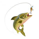 Fishing Hook 2D Game - catch the shark fish