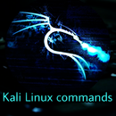 APK Kali Linux All commands