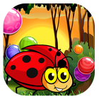 Little Beetle Bubble icône